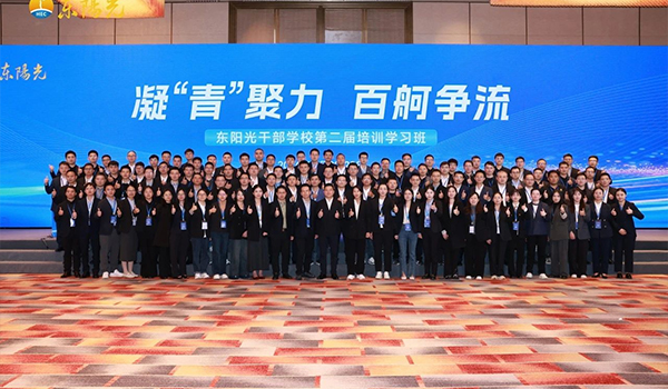 凝“青”聚力，百舸争流 | 欧陆娱乐干部学校2024年第二届培训学习班圆满结束